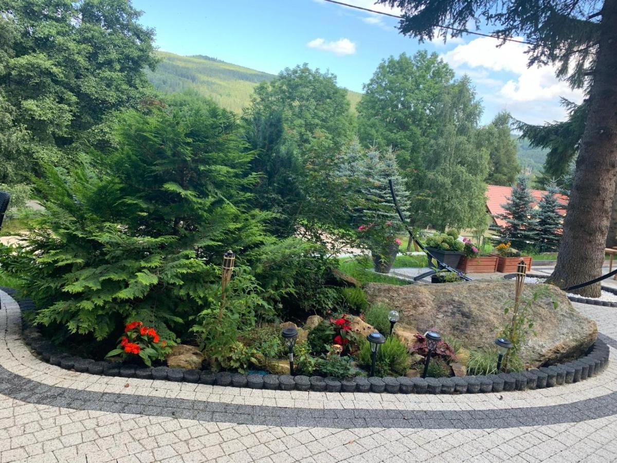 Na Stoku Apartment Świeradów-Zdrój Екстериор снимка