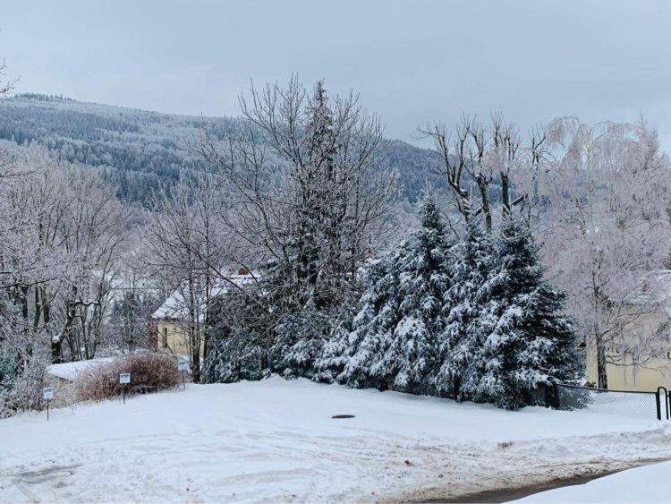 Na Stoku Apartment Świeradów-Zdrój Екстериор снимка